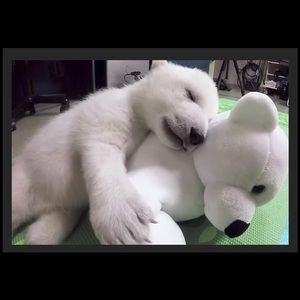 Meet your Posher, Jayme